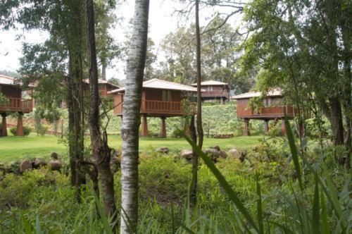 Quinta Das Eiras Hotel Santo Antonio da Serra Luaran gambar