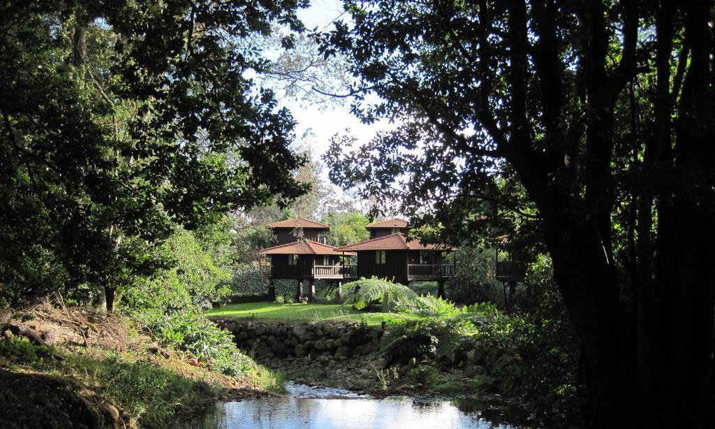 Quinta Das Eiras Hotel Santo Antonio da Serra Luaran gambar