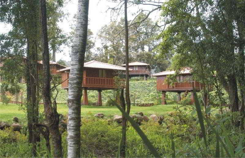 Quinta Das Eiras Santo Antonio da Serra Luaran gambar