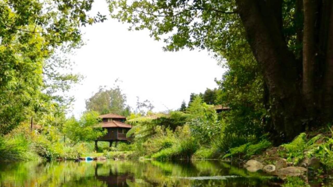 Quinta Das Eiras Santo Antonio da Serra Luaran gambar