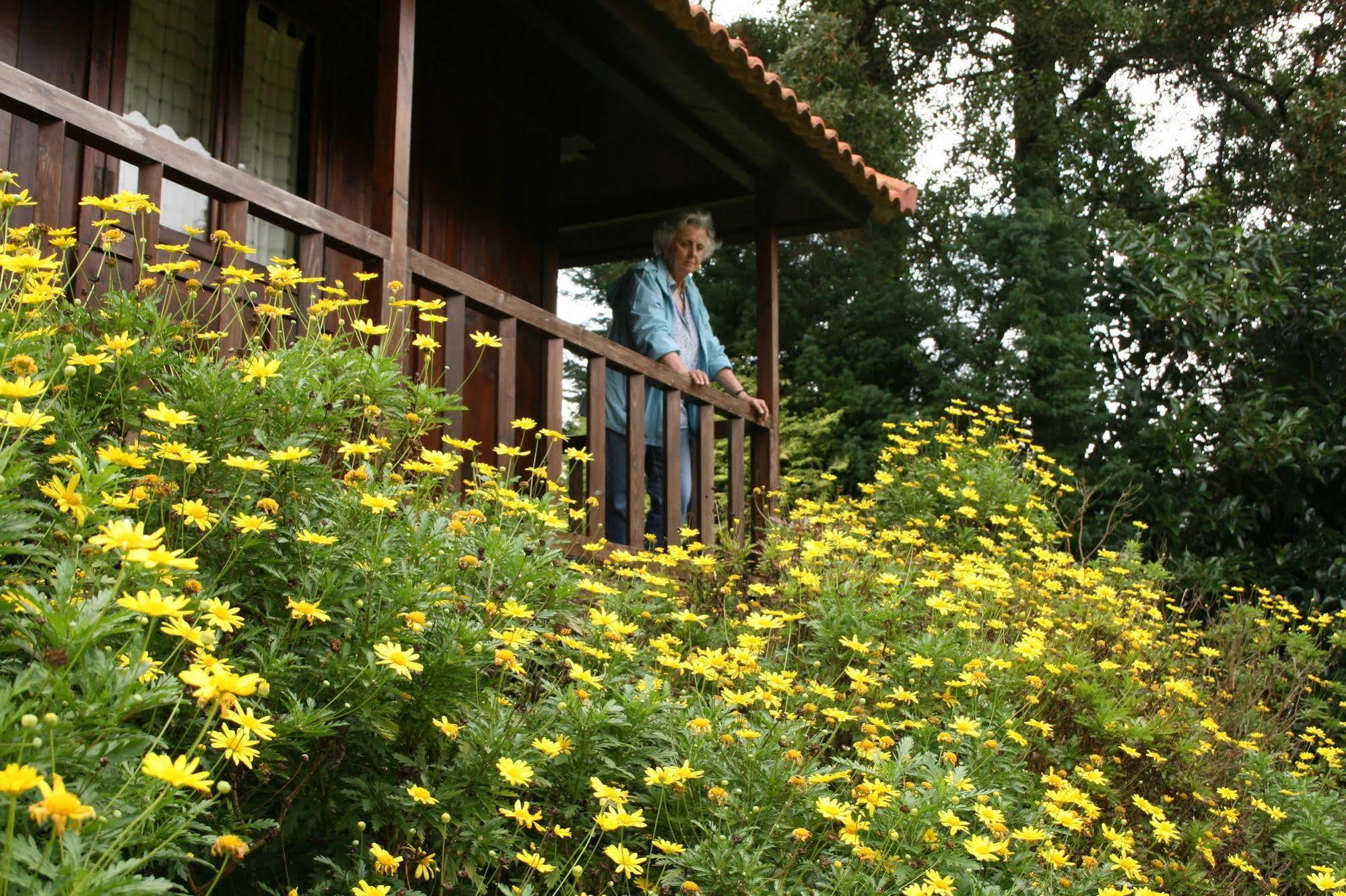 Quinta Das Eiras Hotel Santo Antonio da Serra Luaran gambar