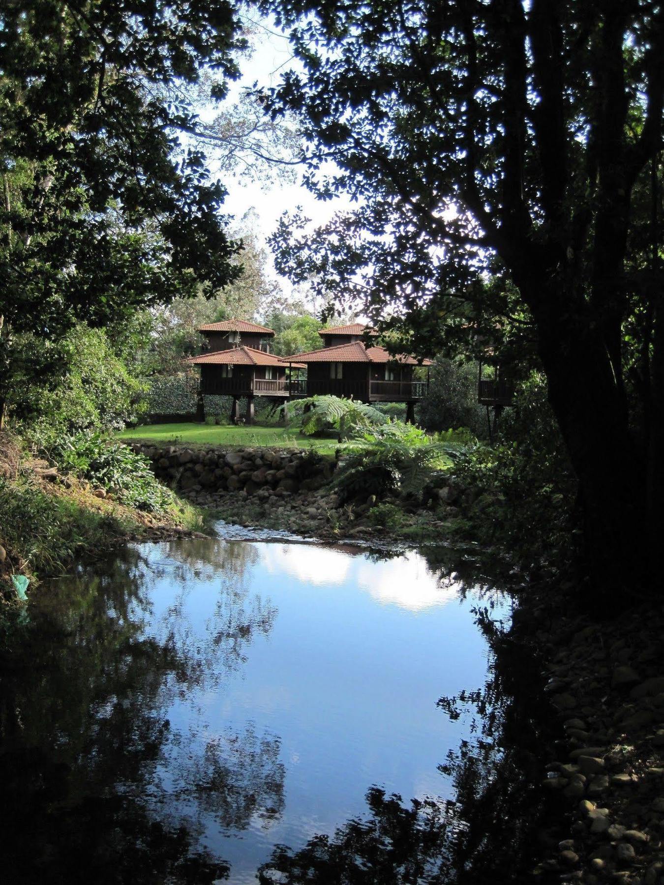 Quinta Das Eiras Santo Antonio da Serra Luaran gambar