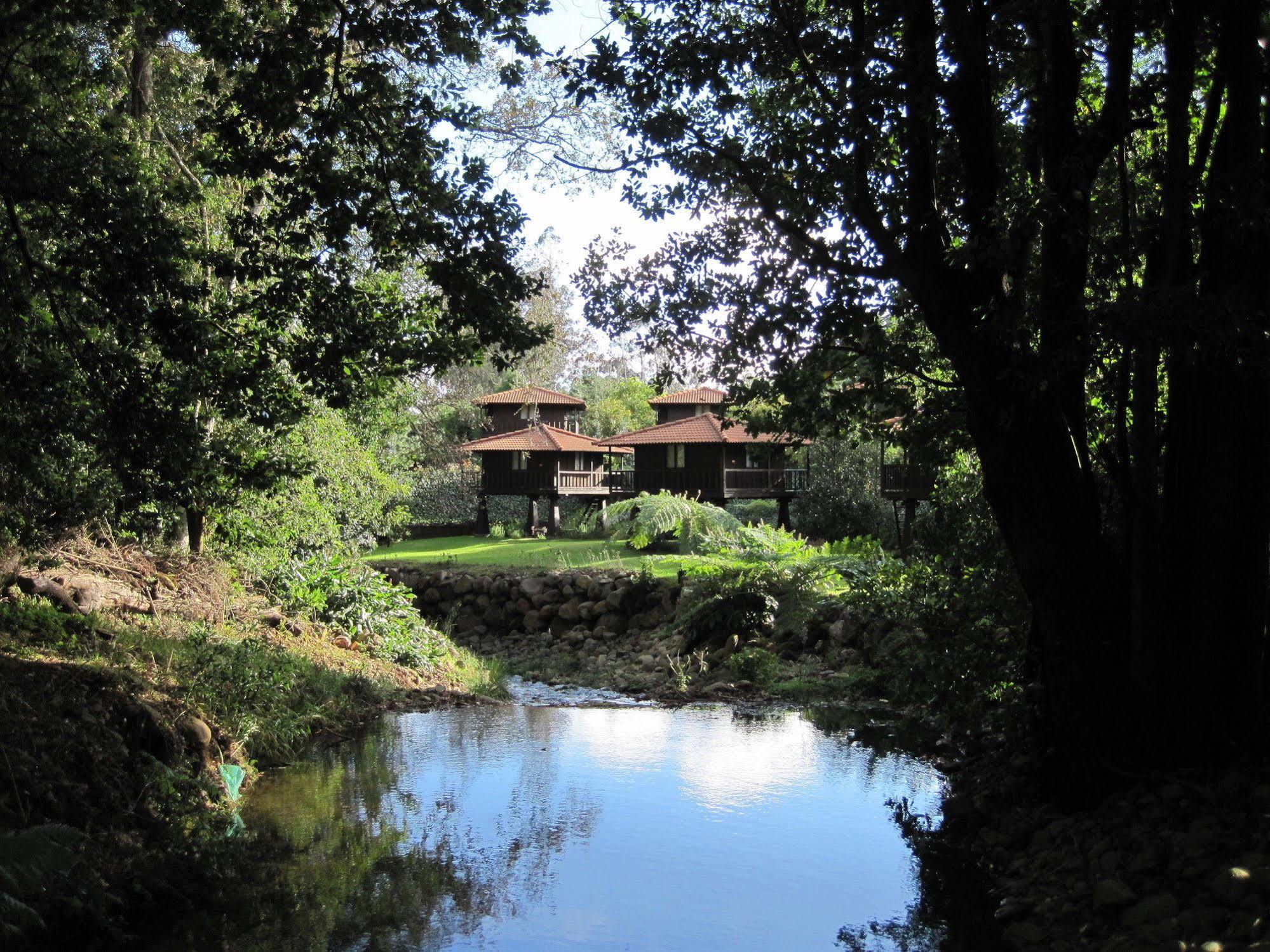 Quinta Das Eiras Santo Antonio da Serra Luaran gambar